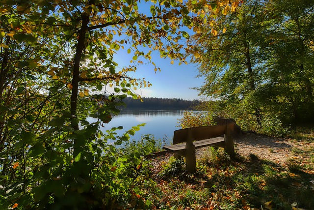 比赛节奏紧 比赛节奏紧