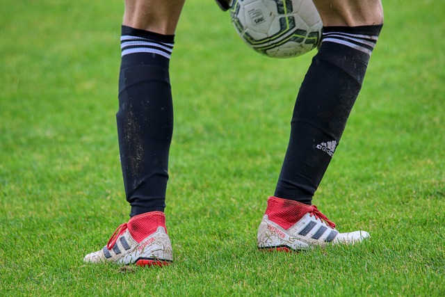 球迷奉献精 球迷奉献精