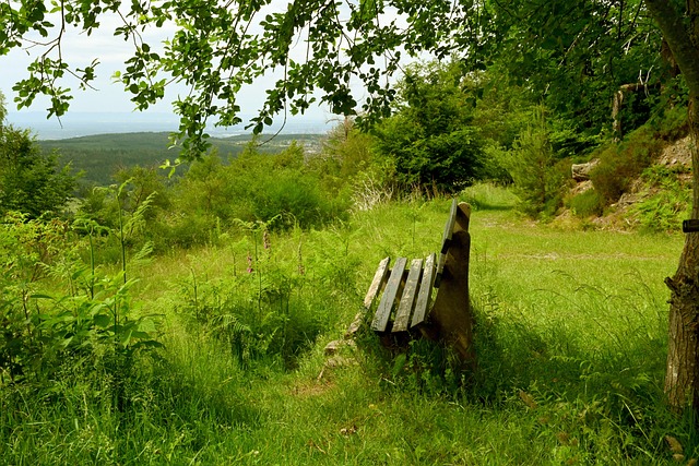 示了自己坚 示了自己坚