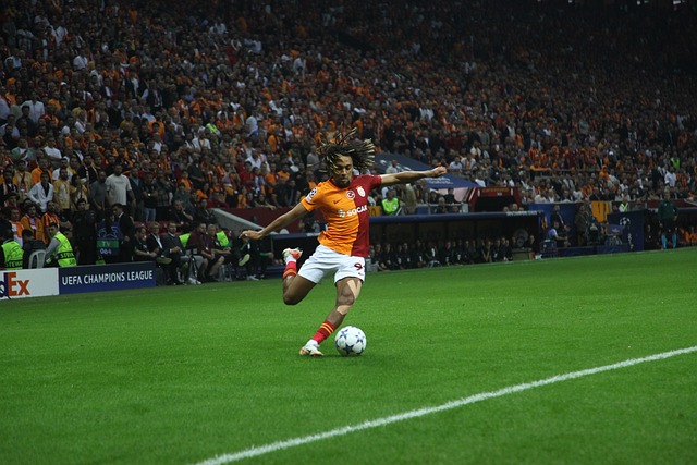 期切爾西可 期切爾西可