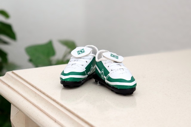 两双的持续 两双的持续