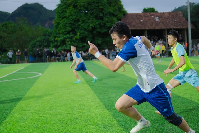 战术多样性 战术多样性